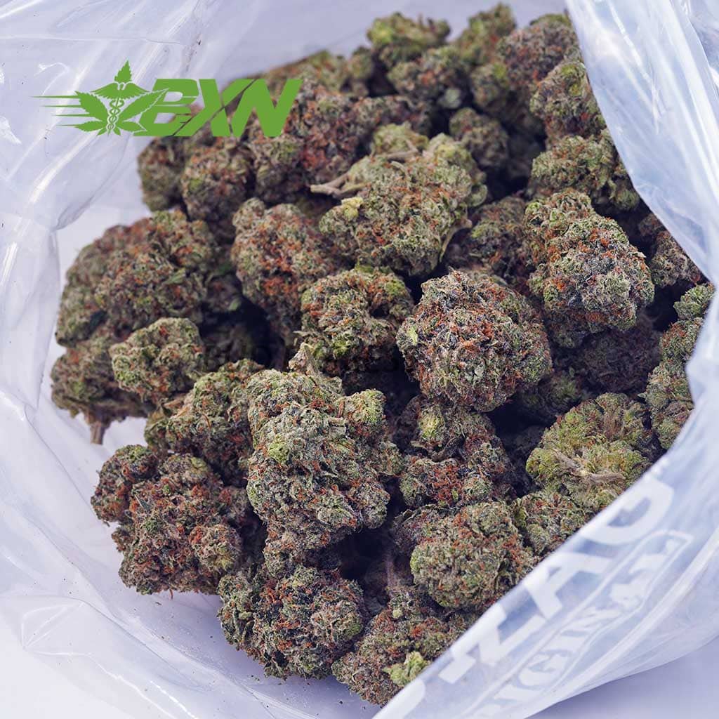 D395A3-ELDIABLO-BXN Buy El Diablo AAAA at BudExpressNOW Online Shop.