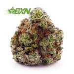 Buy Pineapple Haze AA at BudExpressNOW Online Shop.