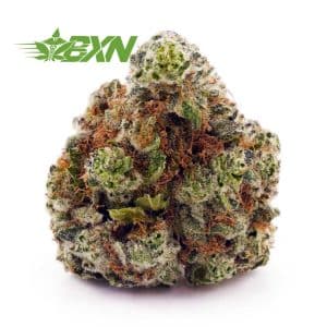 Buy Pineapple Haze AA at BudExpressNOW Online Shop.