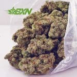 Buy Pineapple Haze AA at BudExpressNOW Online Shop.