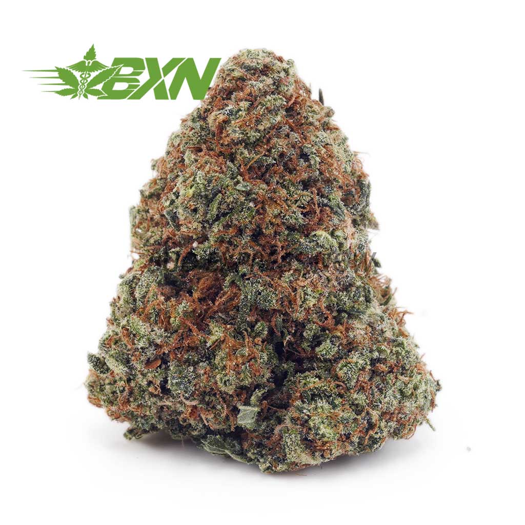 D917A1-RAINBOWKUSH-BXN Buy Rainbow Kush AAA at BudExpressNOW Online