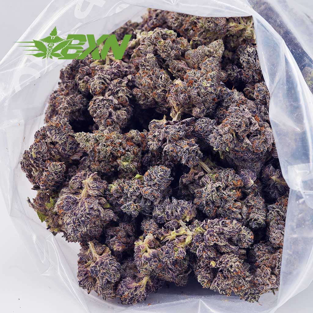 Buy Budzilla (Craft) at BudExpressNOW Online Shop