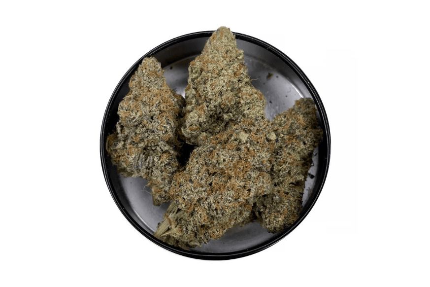 Discover the GMO Cookies strain. This review explores its appearance, flavour & effects to help you make a decision when buying weed online.
