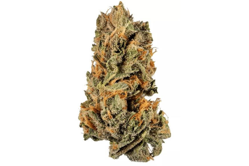 Monkey Glue strain is one of the strongest buds in Canada. This review looks at properties & effects to determine if it's a worthy buy.