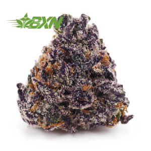 A close up of a purple marijuana plant