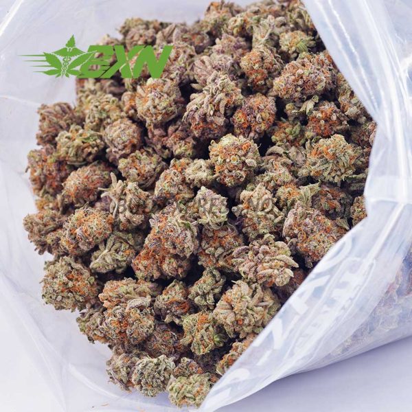 A bag of marijuana with green and orange buds