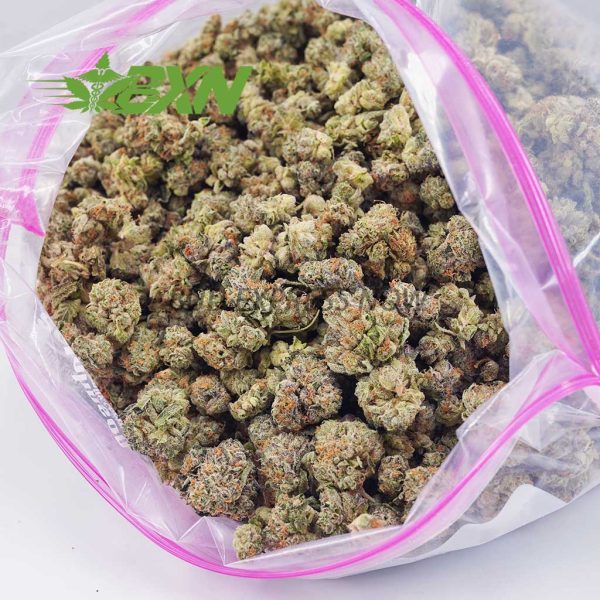 A bag containing premium marijuana buds.