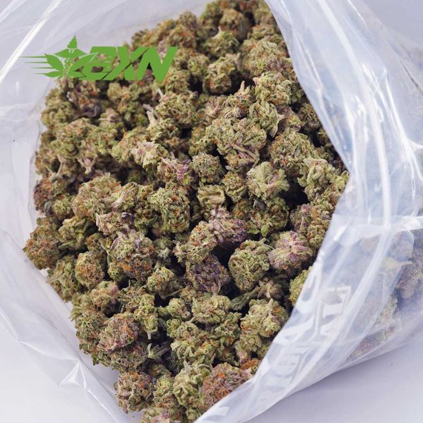 A bag full of marijuana with purple and orange buds