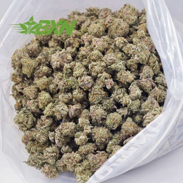 A bag of marijuana in a white transparent plastic