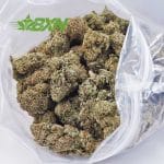 A bag full of Afghani Kush weed