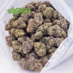 Buy Lemonade Haze AAA at BudExpressNOW Online