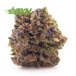 Buy Citrique AAA at BudExpressNOW Online Shop