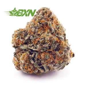 Buy Peach Creamsicle AA at BudExpressNOW Online Shop.