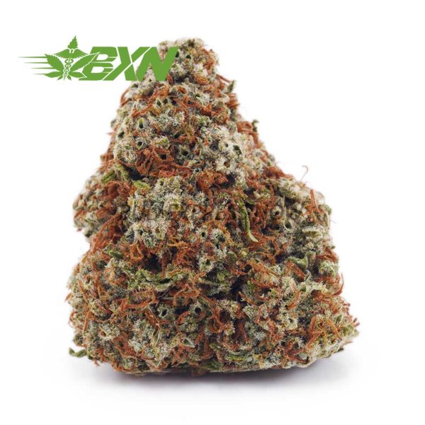 Buy Lemon Sour Diesel AA at BudExpressNOW Online Shop.