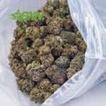 Buy Gorilla Cookies AAA at BudExpressNOW Online Shop.