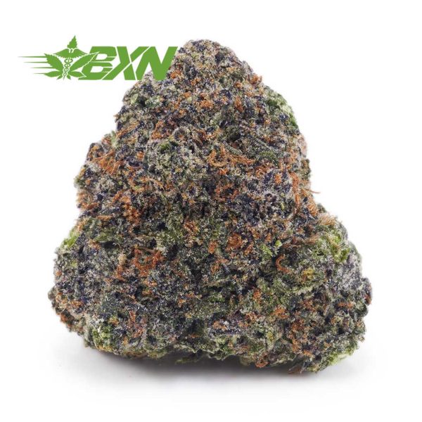 Buy Purple Punch AAAA at BudExpressNOW Online shop.