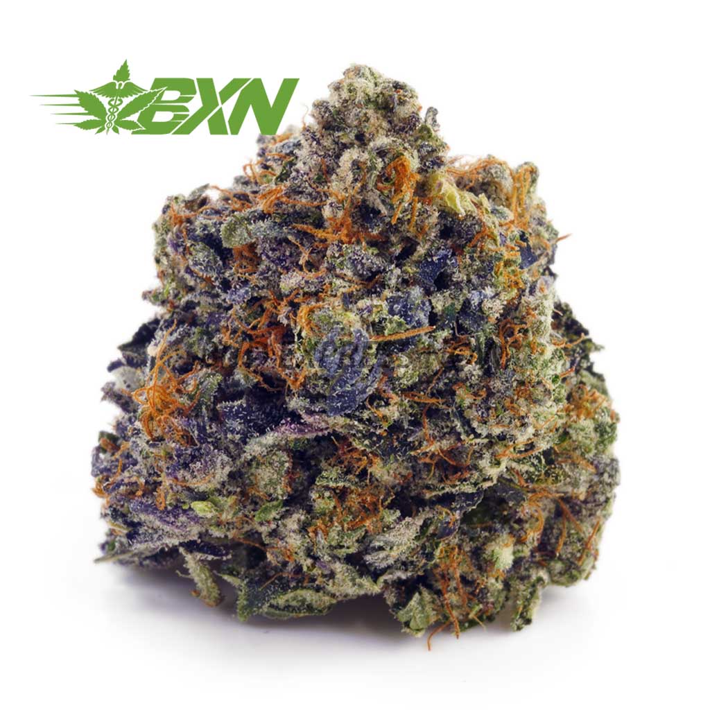 DA OGKUSH BXN Buy OG Kush AAAA at BudExpressNOW Online Shop.