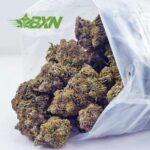 Buy OG Kush AAAA at BudExpressNOW Online Shop.