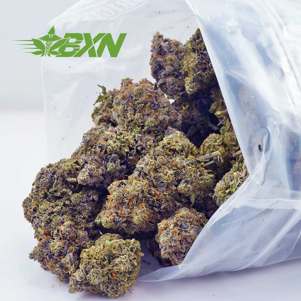 DA OGKUSH BXN Buy OG Kush AAAA at BudExpressNOW Online Shop.