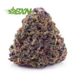 Buy Purple Thunder Fuck AAA at BudExpressNOW Online Shop