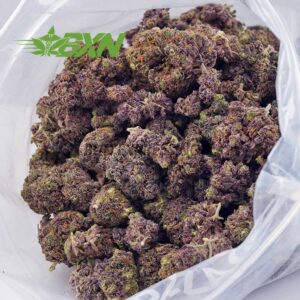 Buy Purple Thunder Fuck AAA at BudExpressNOW Online Shop