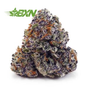 Buy El Chapo AAA at BudExpressNOW Online Shop