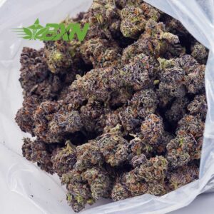 Buy El Chapo AAA at BudExpressNOW Online Shop