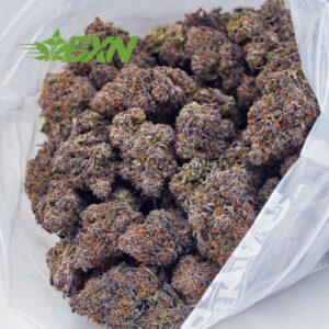 Buy Purple Freeze (Craft) at BudExpressNOW Online