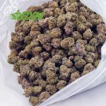 Buy Pink Champagne AAAA (Popcorn) at BudExpressNOW Online Shop
