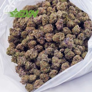 Buy Pink Champagne AAAA (Popcorn) at BudExpressNOW Online Shop