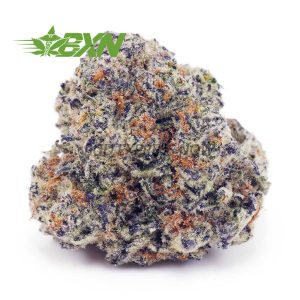 Buy Cookies Kush AAAA at BudExpressNOW Online Shop