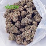 Buy Cookies Kush AAAA at BudExpressNOW Online Shop