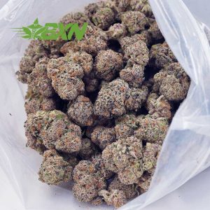 Buy Cookies Kush AAAA at BudExpressNOW Online Shop