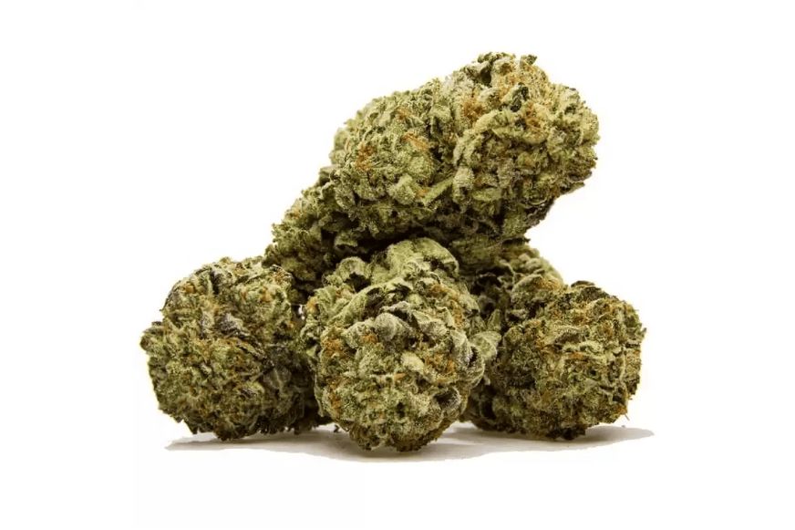 White Rhino kush strain is a cannabis powerhouse that fits consumers of all sorts. Learn more about this cultivar & make it your favourite. 