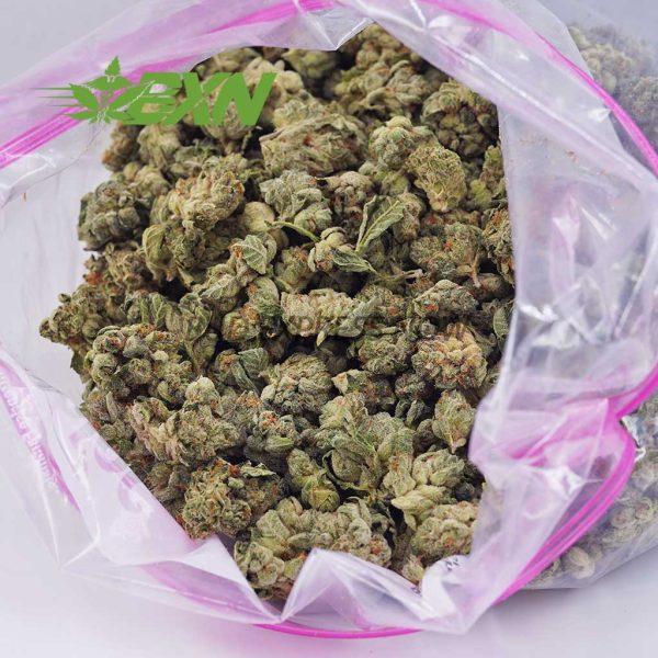 Buy LA Kush Cake AAAA (Popcorn) at BudExpressNOW Online Shop.