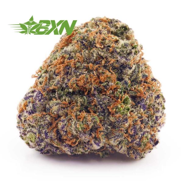 Buy Pineapple Kush AA at BudExpressNOW Online Shop