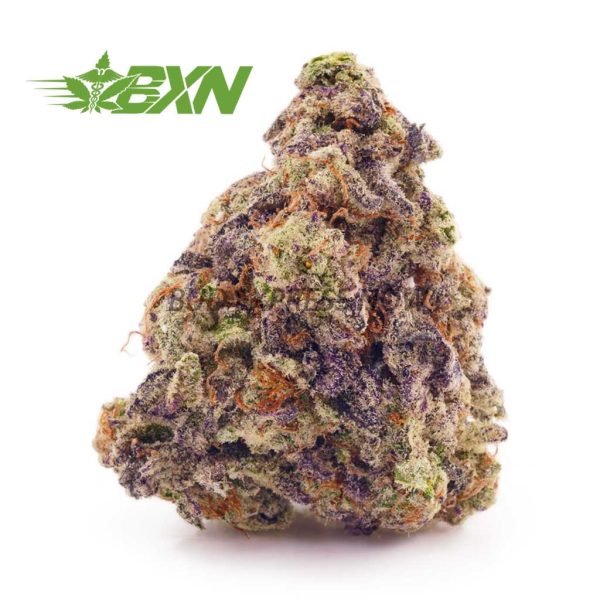 Buy Tangie Punch AAA at BudExpressNOW Online.