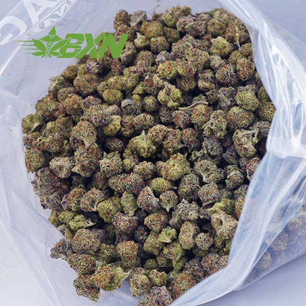 Buy Slurricane AAAA (Popcorn) at BudExpressNOW Online Shop