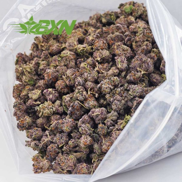 Buy Purple Thunder Fuck AAAA (Popcorn) at BudExpressNOW Online Shop