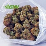 Buy AK-47 AA at BudExpressNOW Online.