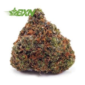 Buy Jack Herer AA at BudExpressNOW Online Shop