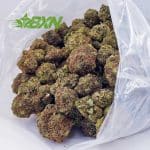 Buy Jack Herer AA at BudExpressNOW Online Shop