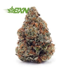 Buy Cookie Dough AA at BudExpressNOW Online Shop