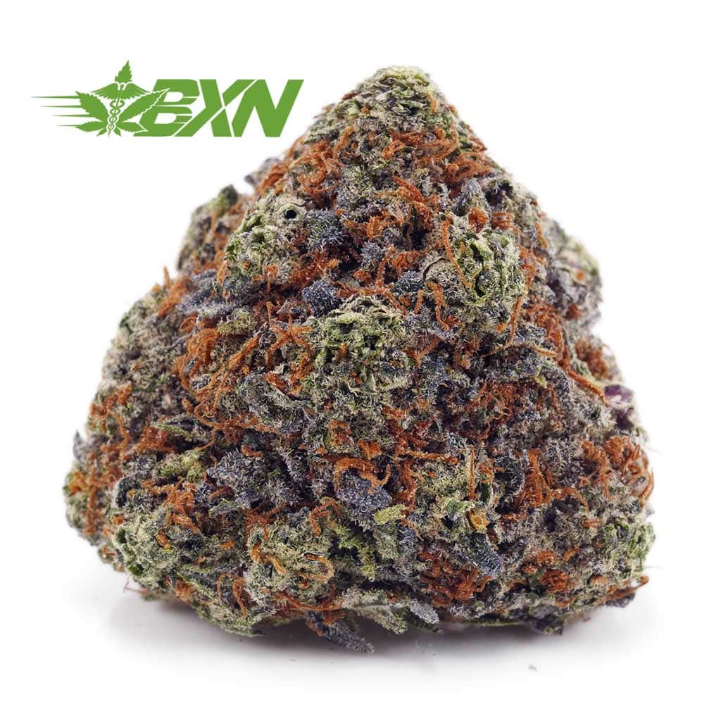 D801A1-PURPLEKUSH-BXN Buy Purple Kush AAAA at BudExpressNOW Online Shop