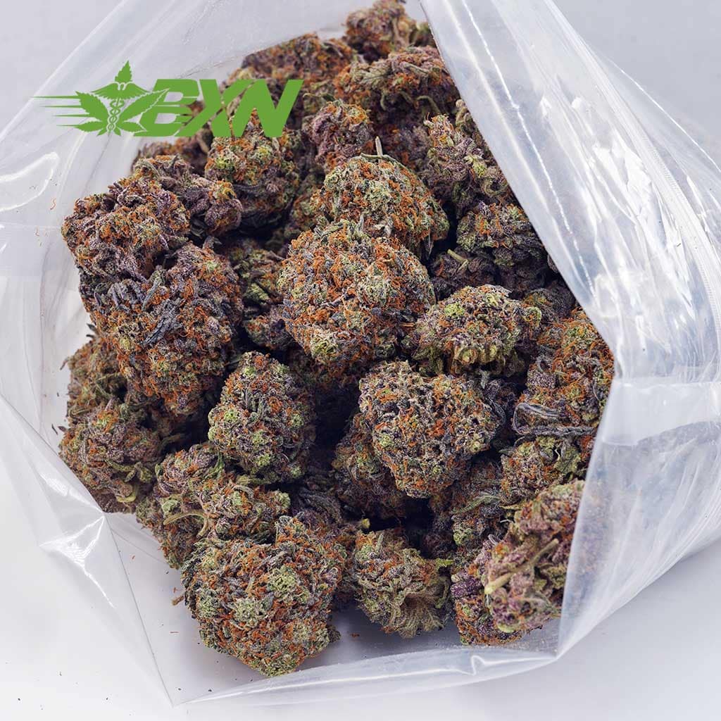 D801A2-PURPLEKUSH-BXN