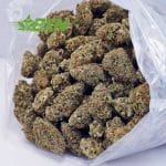 Buy Blue Magoo Cookie AAA at BudExpressNOW Online Shop