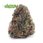 Buy Cinderella 99 AAA at BudExpressNOW Online Shop.