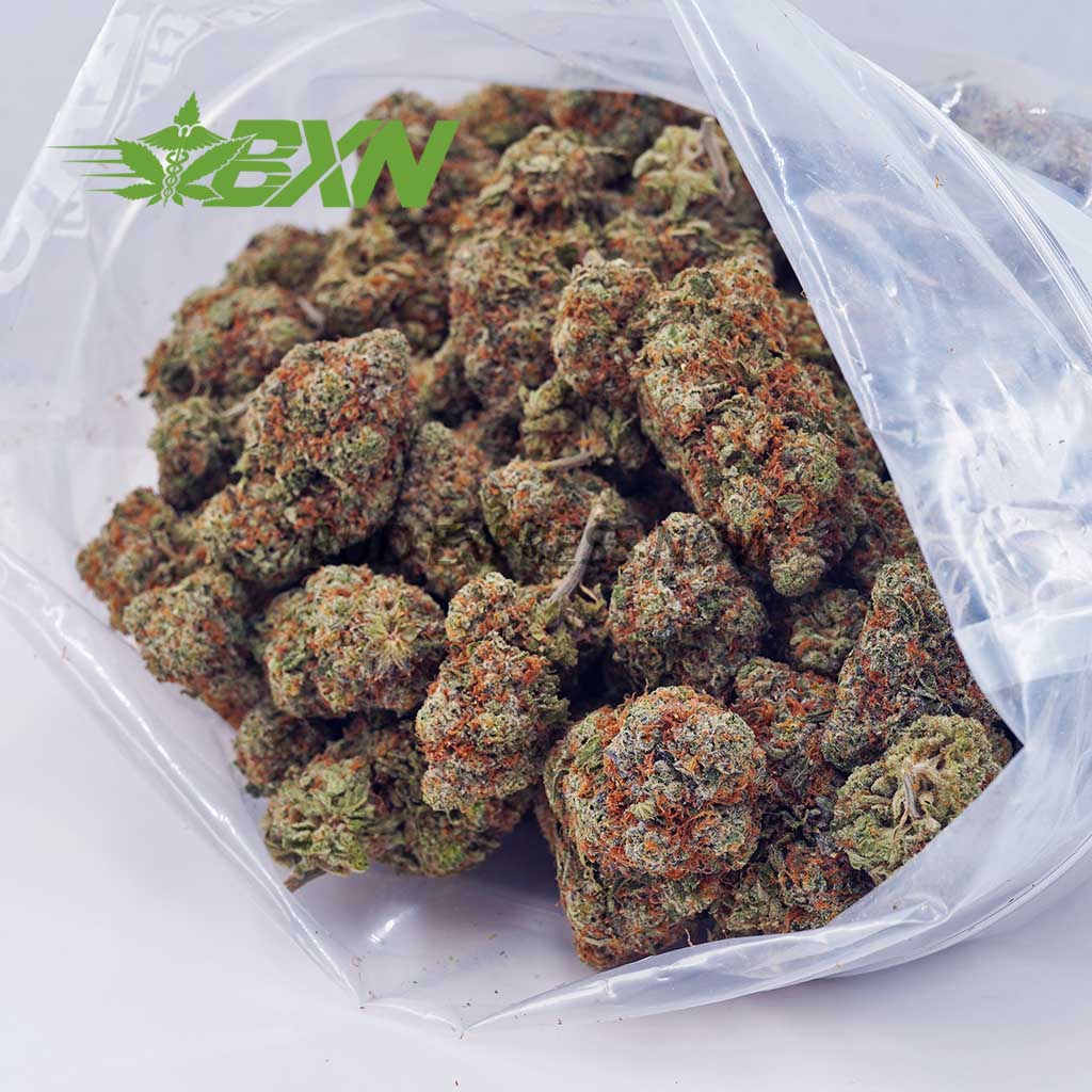 EA CINDERELLA BXN EA CINDERELLA BXN