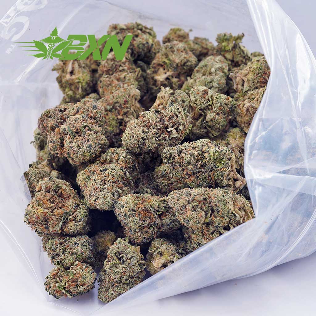 Buy Island Sweet Skunk AAAA at BudExpressNOW Online