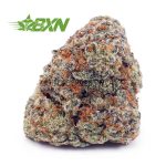 Buy Forum Cut Cookies AAA at BudExpressNOW Online
